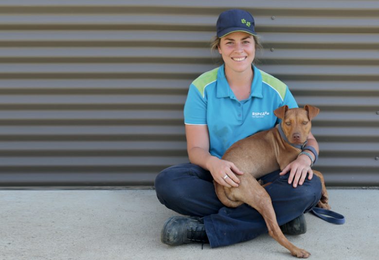 RSPCA Dog Rehabilitation Program