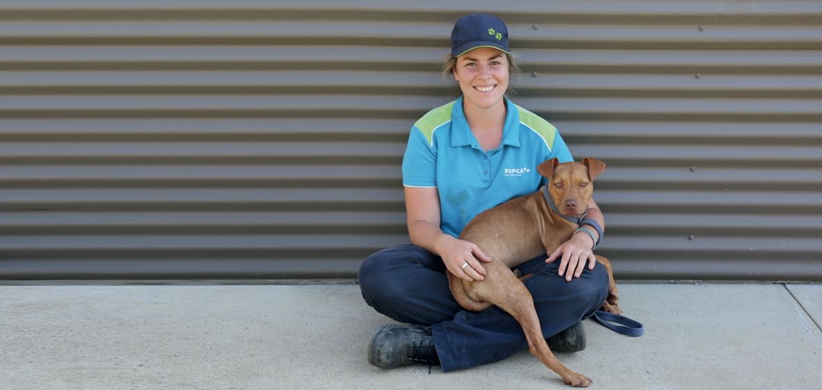 RSPCA Dog Rehabilitation Program