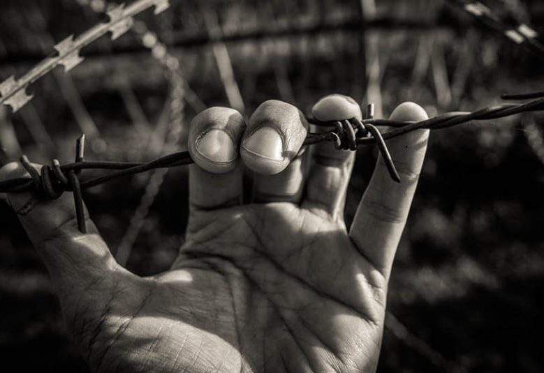 Hands holding wire fence