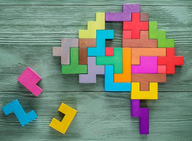 Human brain is made of multi-colored wooden blocks.