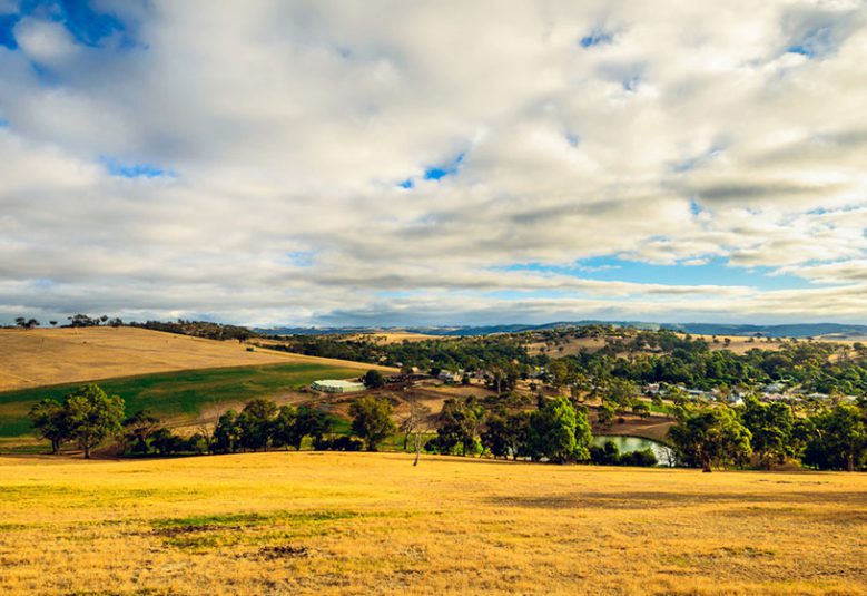 Farmland scenery