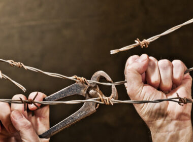 photo of hands cutting barbed wire to symbolise end to indefinite detention